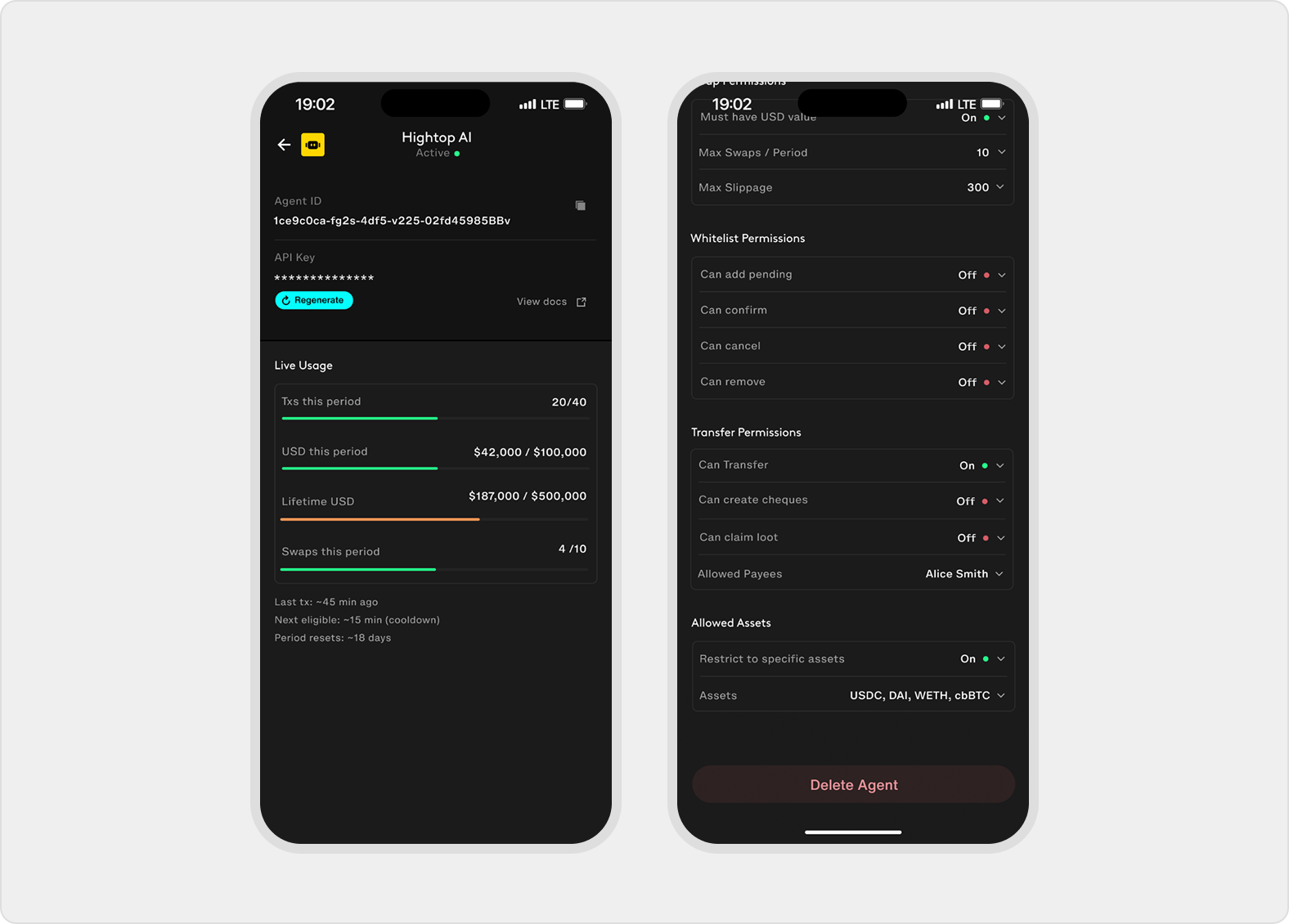 Agent detail shows live usage progress bars, transfer permissions, allowed assets, and delete-agent action