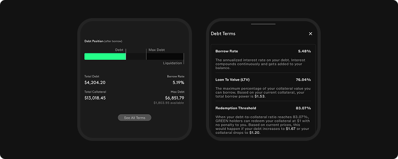 Debt health bar marks debt, max debt, and liquidation, while the terms sheet explains borrow rate, LTV, redemption, liquidation, and fees